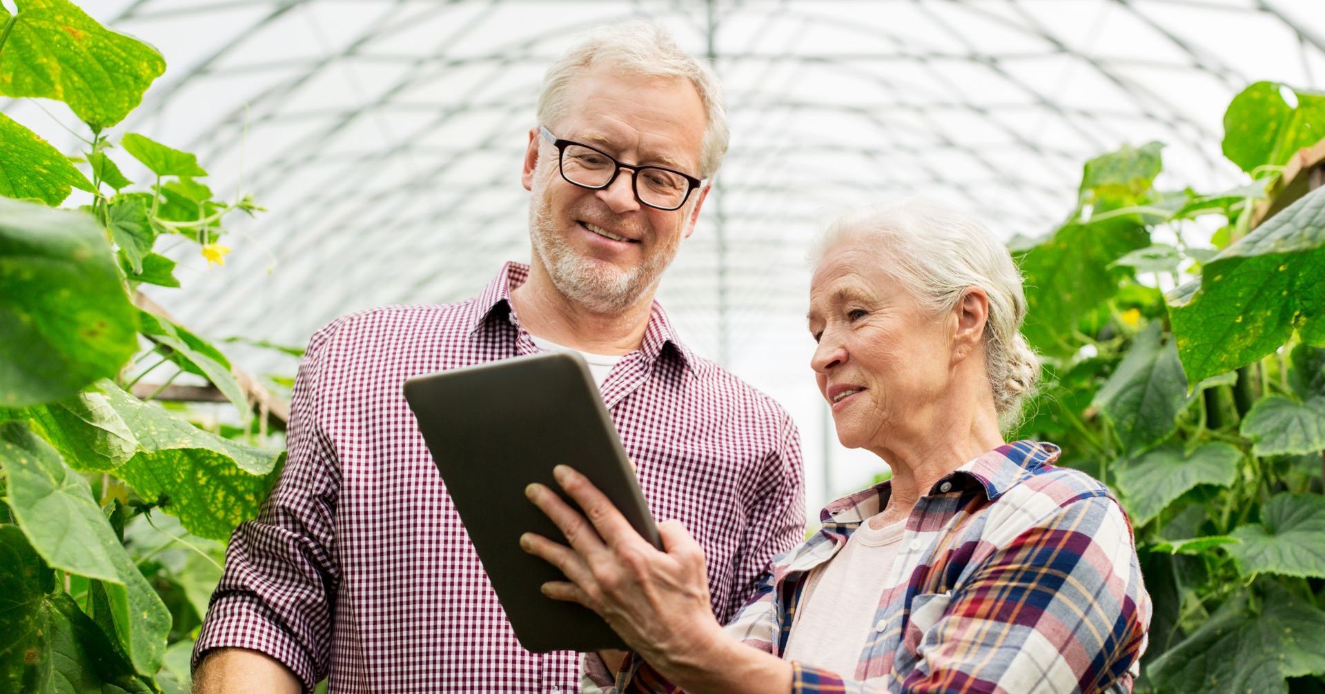 Bank Spółdzielczy w Wolinie